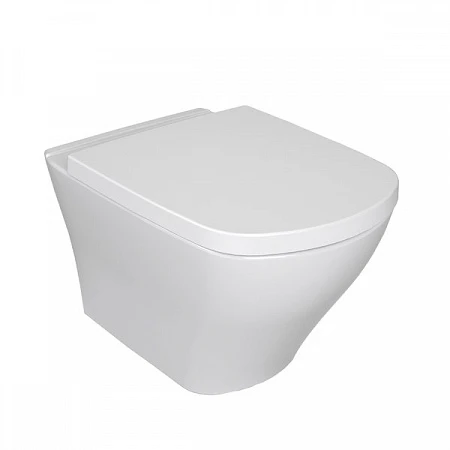 Чаша Ravak Classic подвесная X01671